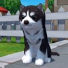 Dog Simulator 3D - Animal Life icon