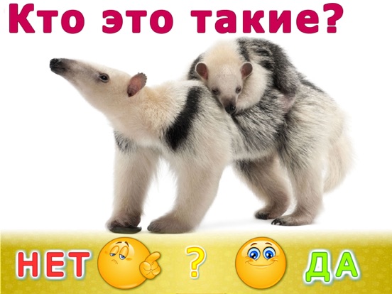 Screenshot #5 pour Animaux jeux 1 pour bebe photo