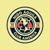 Nido águila Azcapotzalco icon