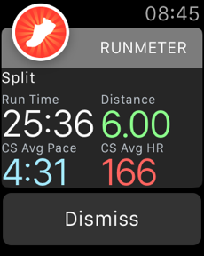Runmeter Running & Walking GPS Screenshot