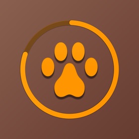 FoxyFocus: Focus & Study Timer