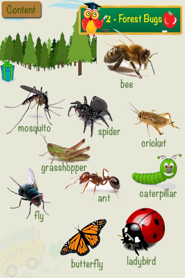 Touch Picture Dictionary screenshot 3