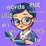 Get Words Pro - learn languages for iOS, iPhone, iPad Aso Report