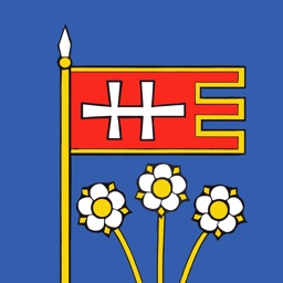 Ducové