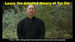 Yang Tai Chi for Beginners 1 screenshot 3