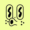 Wana Create icon