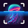 JellyScan - Identify Jellyfish icon