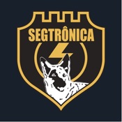 Segtrônica