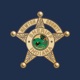 Newton County Sheriff Indiana app icon - Reference app for iPhone