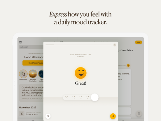 5 Minute Journal: Self-Care iPad app afbeelding 7