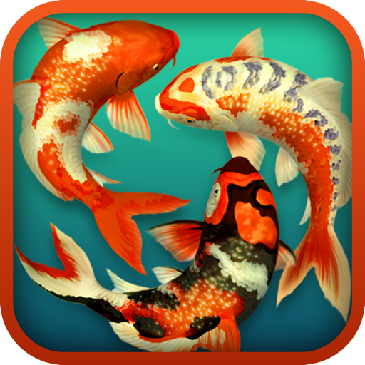Koi Pond 3D
