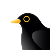 Time Capsule - Bird Diary