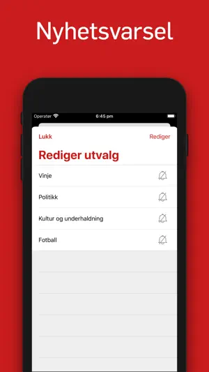 Vest-Telemark blad screenshot 3
