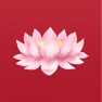 Get Buddhism Dharma Zen Widget for iOS, iPhone, iPad Aso Report