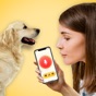 Dog Translator App app download