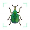 BUND Insekten Kosmos icon