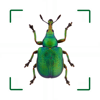BUND Insekten Kosmos - Mullen & Pohland GbR