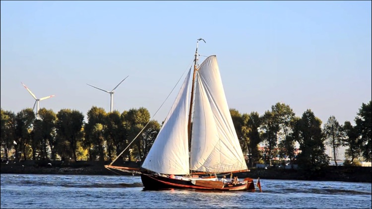 Video Touch: Vehicles