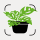 Plant Identifier and Care app