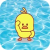 Gull Duck VPN icon