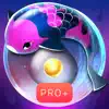 Zen Koi Pro+ icon