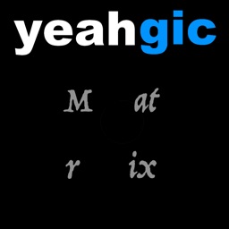 Symbolic Matrix