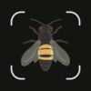 BugFinder: Insect Identify icon