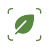 Plant id: Leaf Grass Tree Snap icon