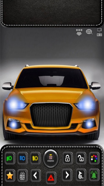 Private car experience