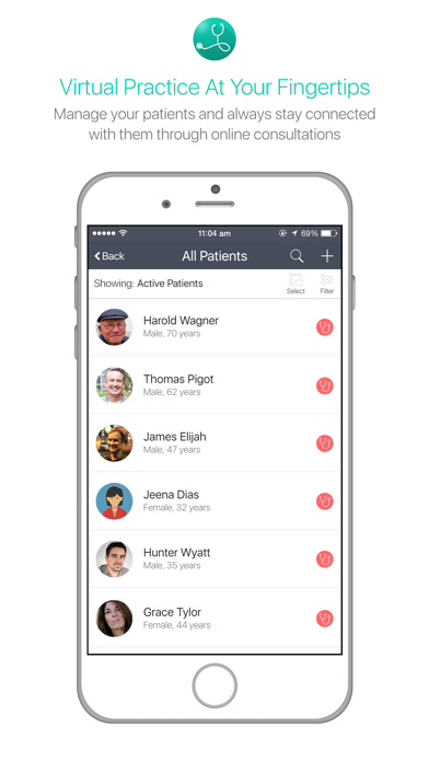 Virtual Practice Healthcare Screenshot