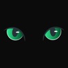 Blackcat - fintech app icon