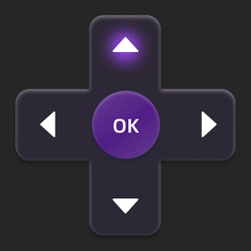 TV Remote - Universal Pro