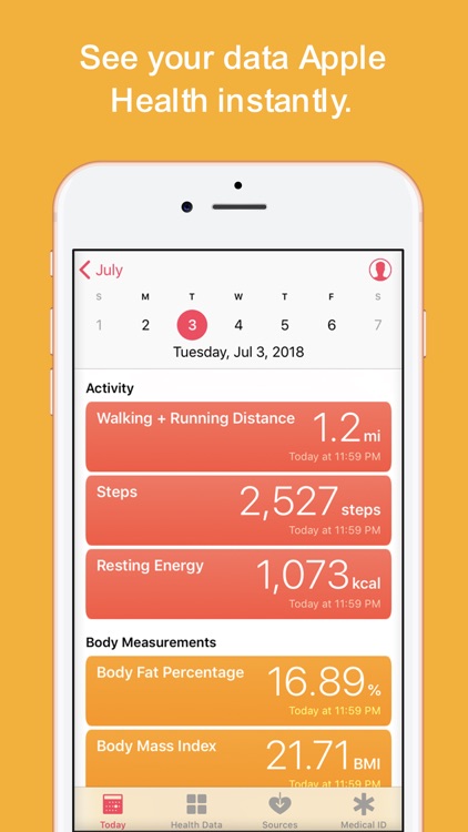 Sync Solver - Fitbit to Health screenshot-4