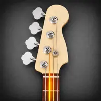 Bass Guitar Tutor