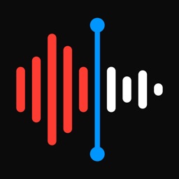 Recorder - Voice Memos