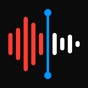 Recorder - Voice Memos app download