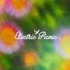 Electric Picnic icon