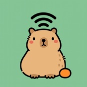 VPN - Super Fly 2026