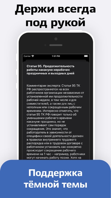 Трудовой Кодекс screenshot-3