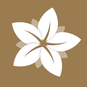 MusesAcademy: Daily Growth