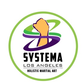 Systema Quantum