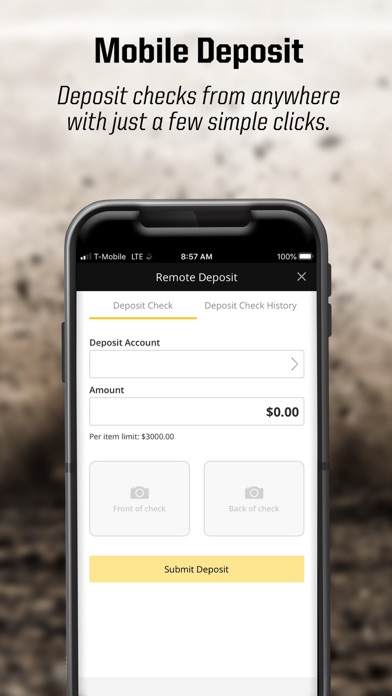 OE Federal Mobile iPhone screenshot 2 - Finance app