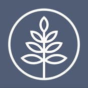 treezi