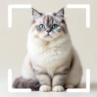Cat Identifier - Pet scanner