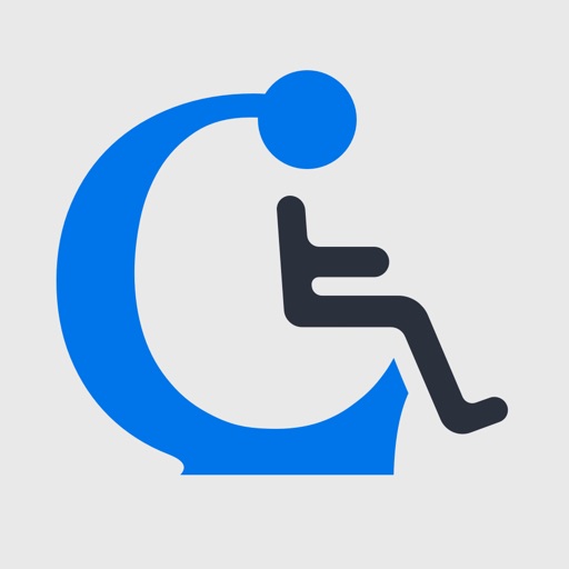 Code Snap AI: ADA Standards