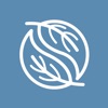Noga icon