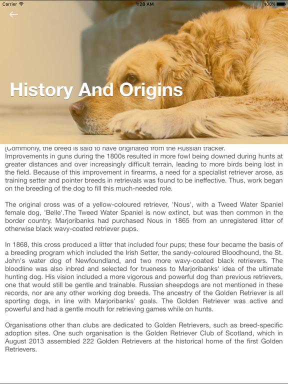 Golden Retriever: Breed Guide iPad screenshot