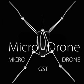 Micro Drone GST
