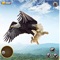 Get ready to start a fantastic adventure of the eagle hunter by playing the interesting flying eagle games of 2023