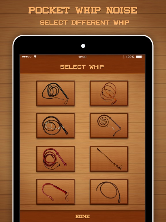 Screenshot #6 pour Pocket Whip Noise